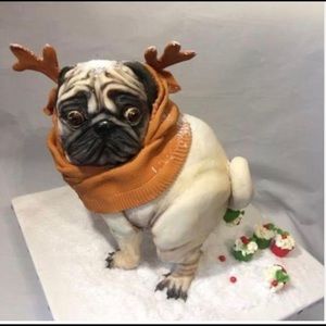 Meet your Posher, Sandy